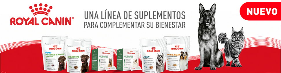RoyalCanin_970x260_julio2026